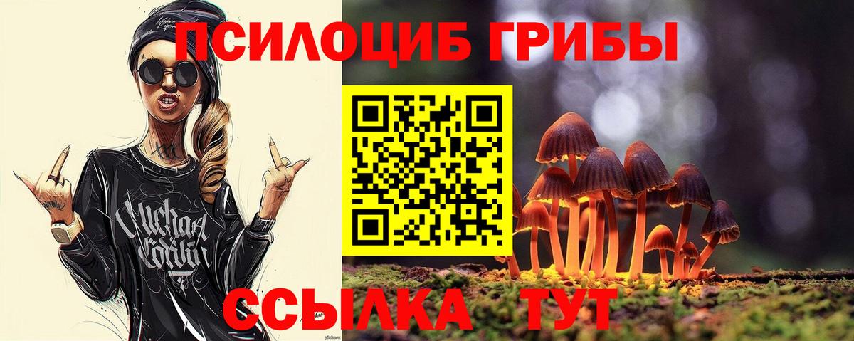 Галлюциногенные грибы прущие грибы Ковров